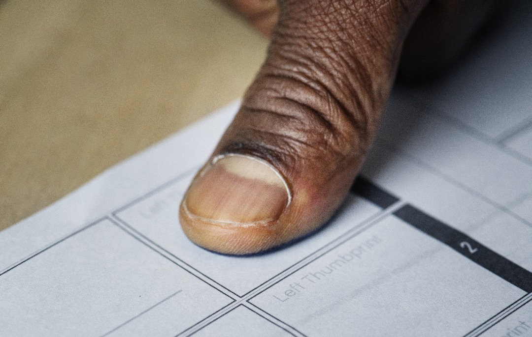 Acusaciones internacionales de fraude electoral afectan elecciones hondureñas